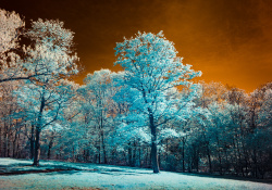 The Curious World of Infrared